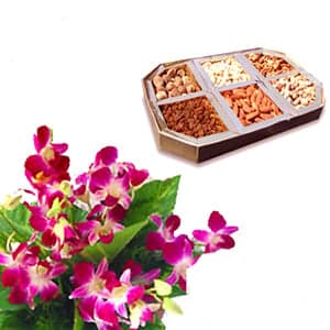 Orchids n Dry Fruits